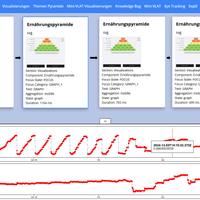  The lineplots at the bottom show the gaze movements in the x- and y-direction respectively, while the cards show individual fixations
